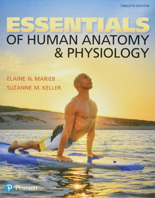 Essentials of Human Anatomy and Physiology 12th Edition: ISBN 9780134395326