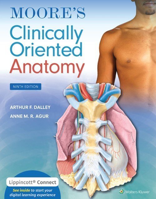 Moore Clinically Oriented Anatomy 9th Edition : ISBN 9781975154066